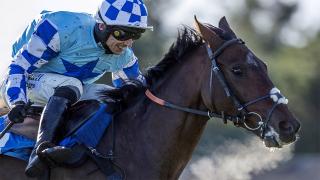 Thistlecrack returns to action over hurdles at Newbury on Friday